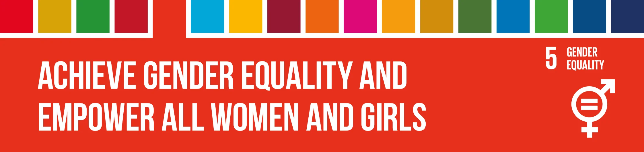SDG5_Header.jpg