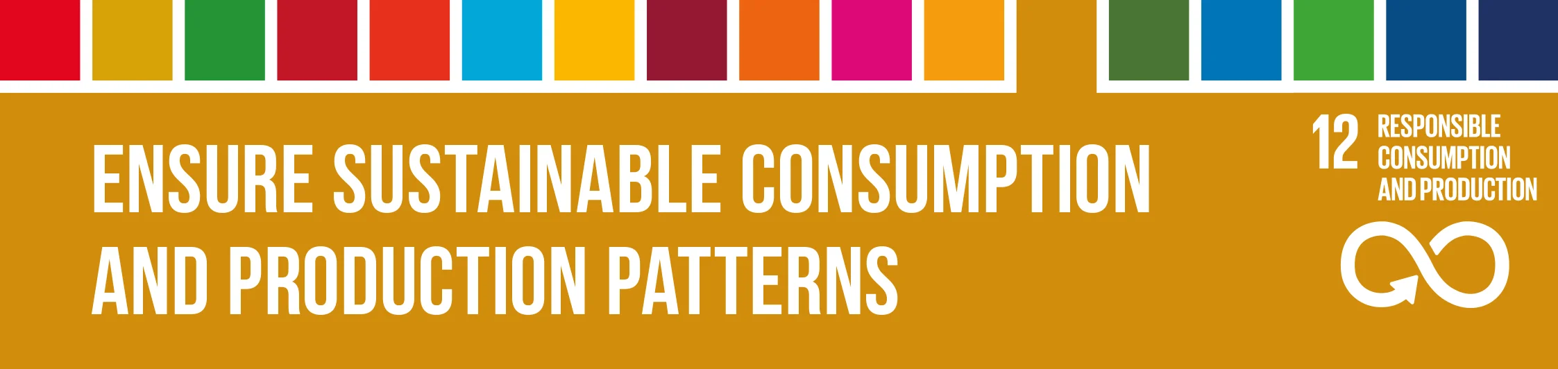 SDG12_Header.jpg