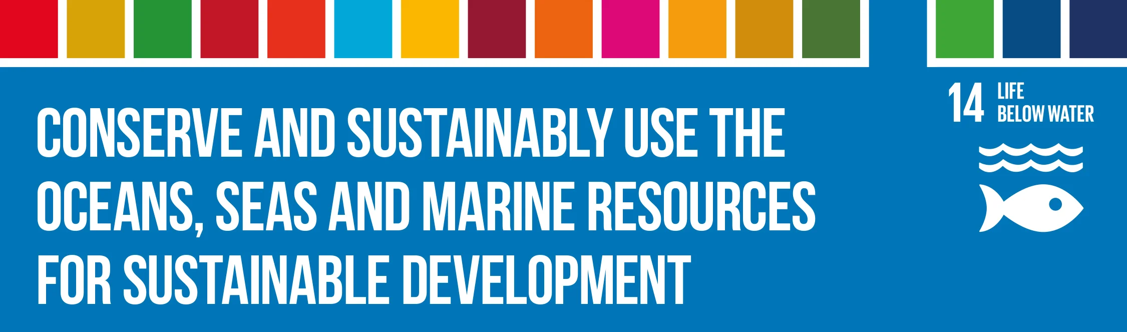 SDG14_Header.jpg