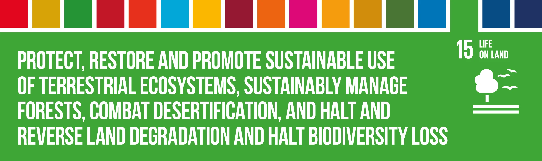 SDG15_Header.jpg