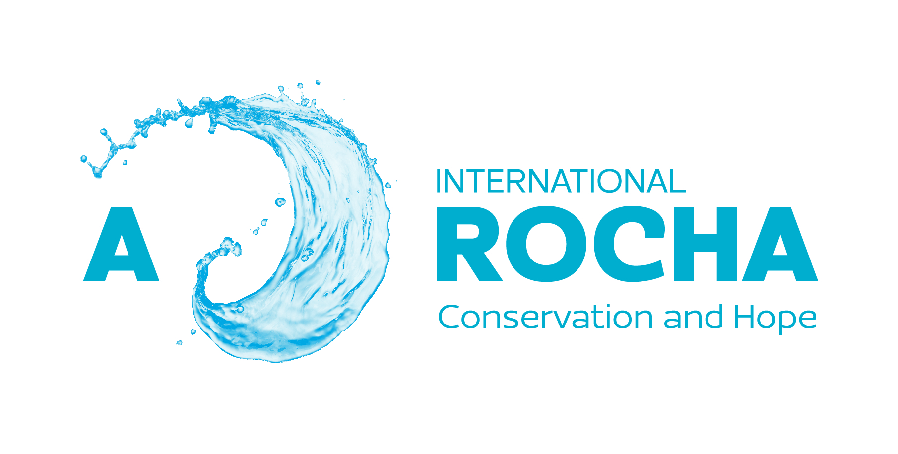 SDG 14 - A Rocha wave logo blue.jpg