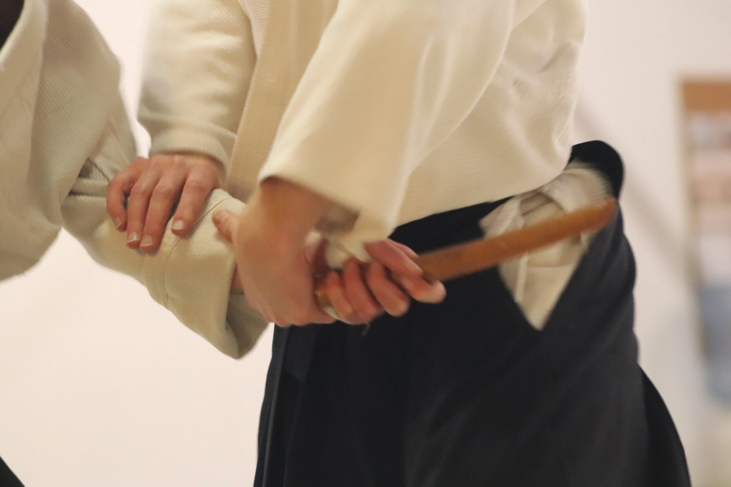 Annual Members Meeting 2020