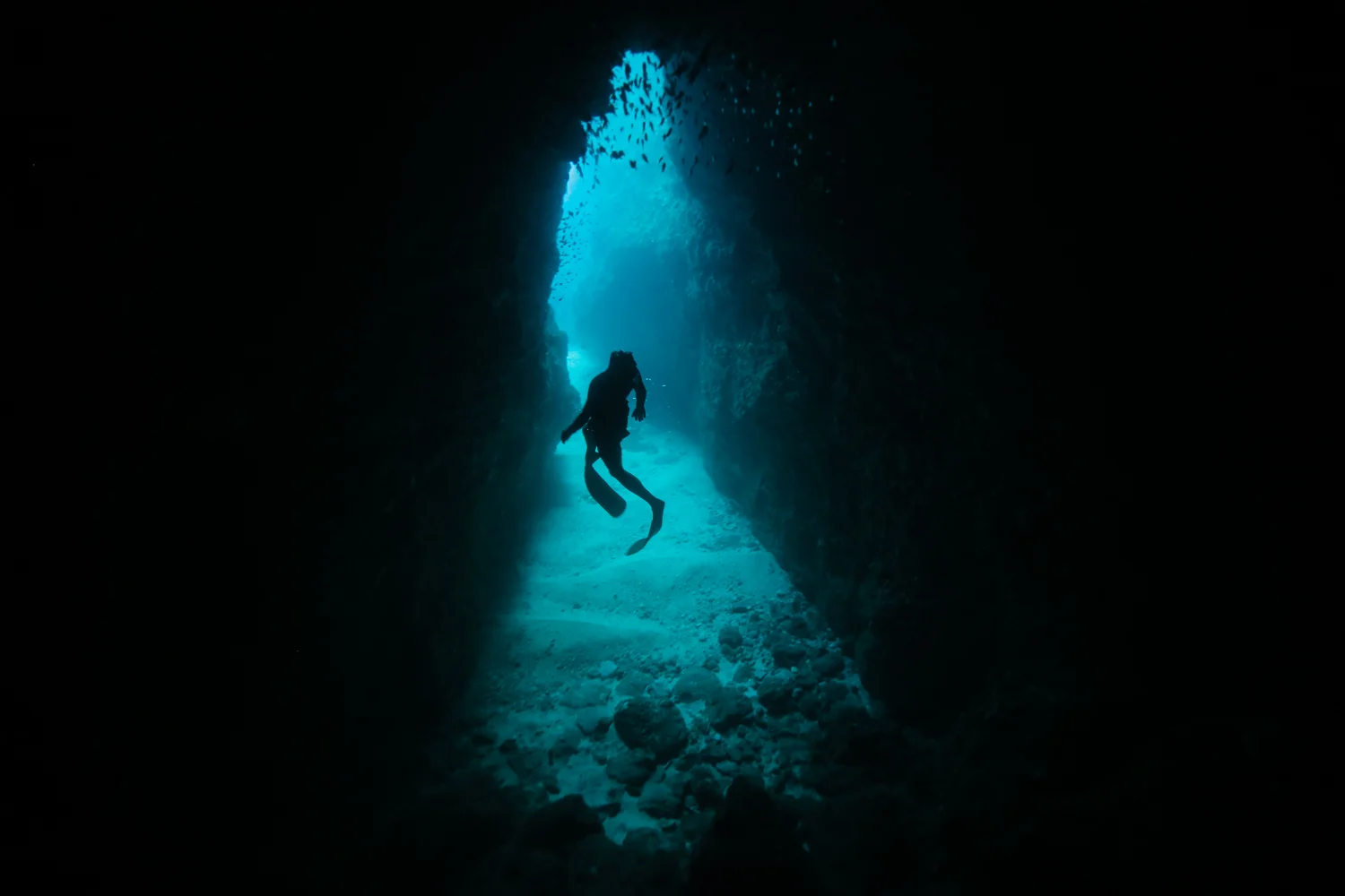 Underwater Gallery