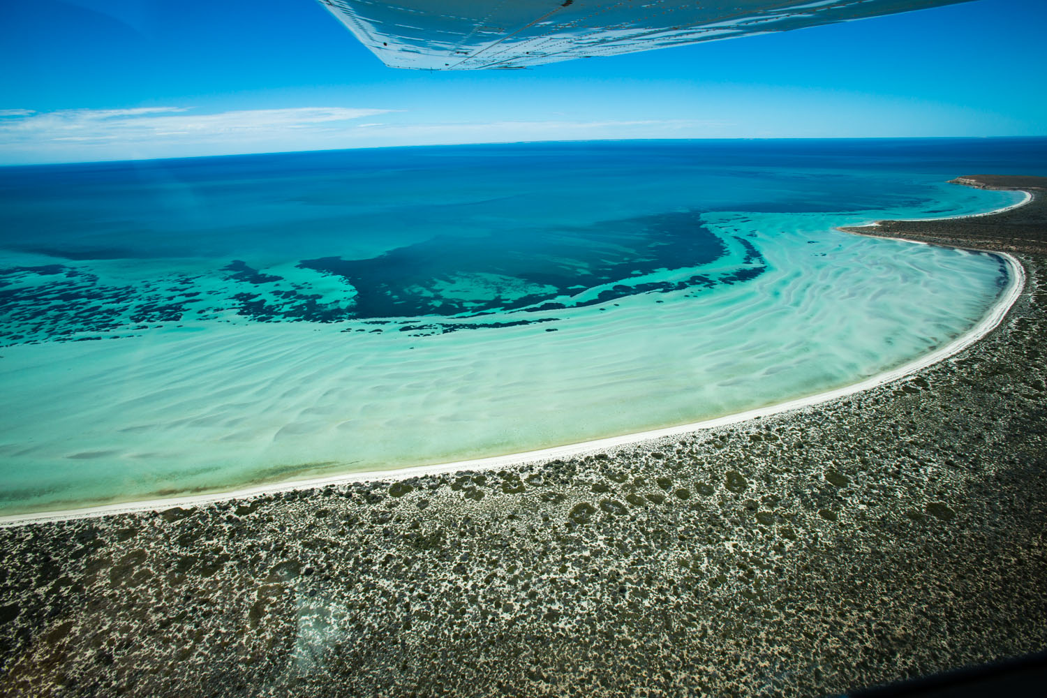 SEASCAPE GALLERY
