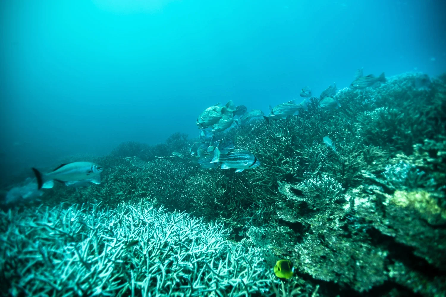 NT4A0037.jpg