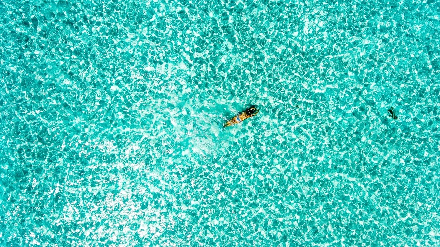 DJI_0033.DNG+1.jpg