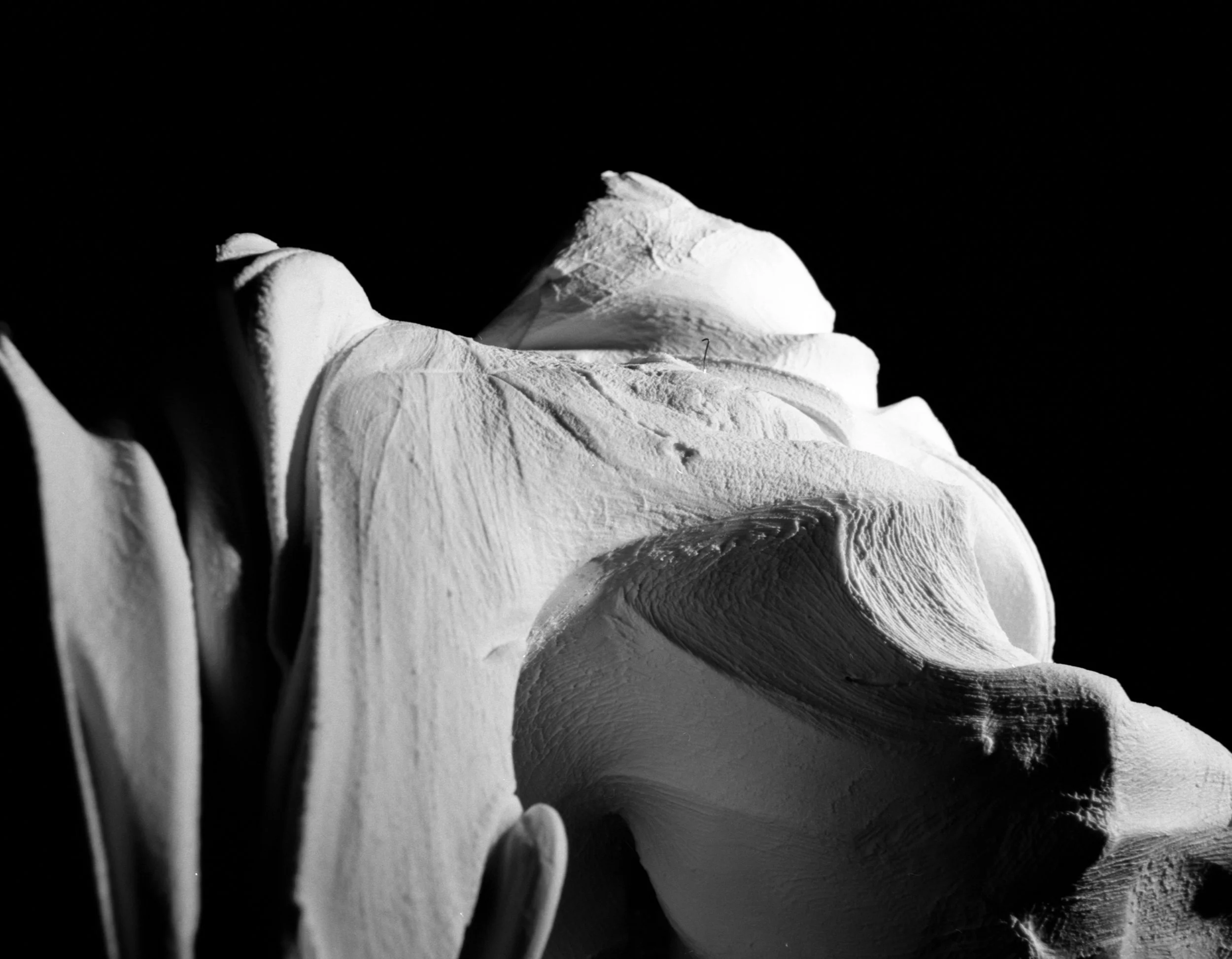 2521_01.jpg