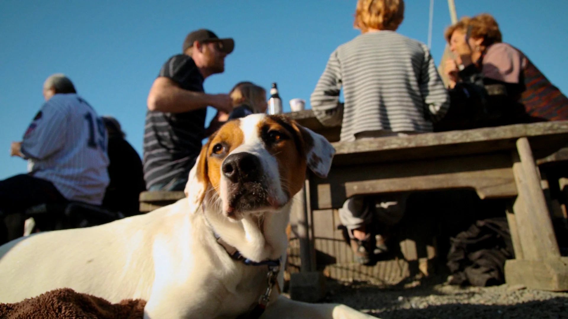 110711_JF_LOCALS_ONLY_FRAMEGRAB_31_WEB_1080p.jpg