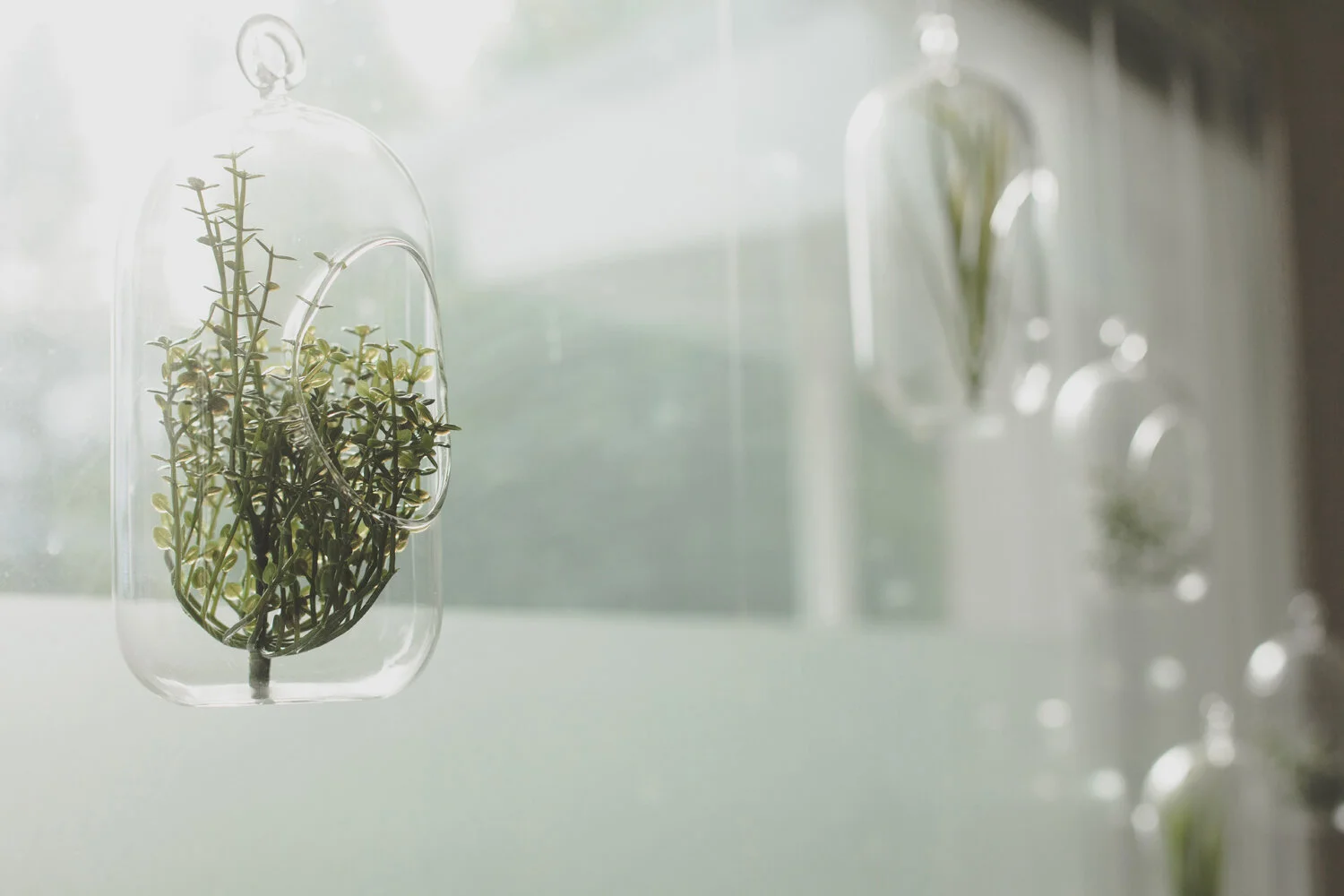 valokuvaajarovaniemi