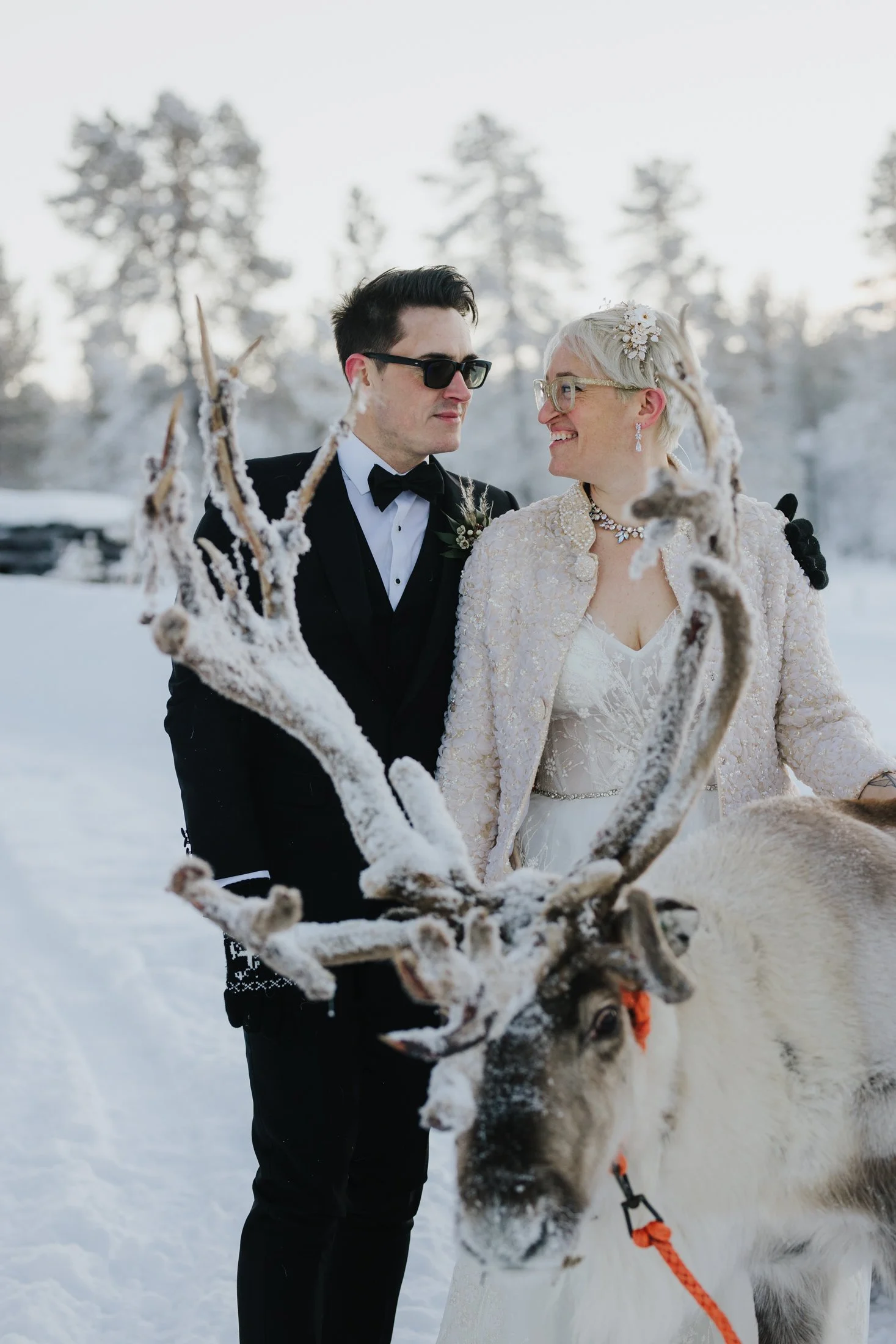 Wedding photoshoot in Lapland. A couple dressed in wedding attire standing outdoors in a snowy landscape surrounded by snow-covered trees, with a reindeer between them.