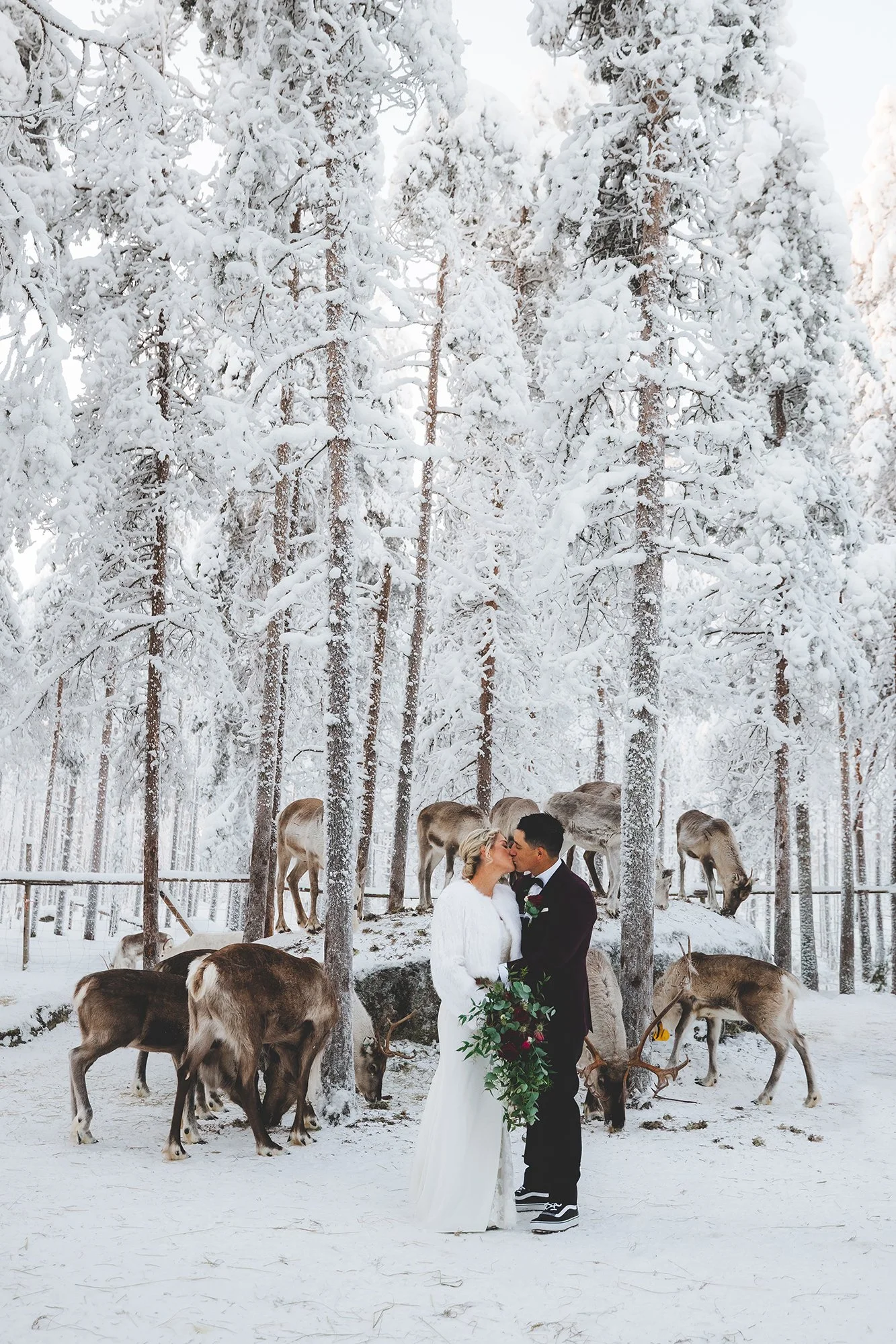 A bride and groom kissing in a snowy forest with reindeer in the background, surrounded by snow-covered trees. Wedding photographer in Rovaniemi.