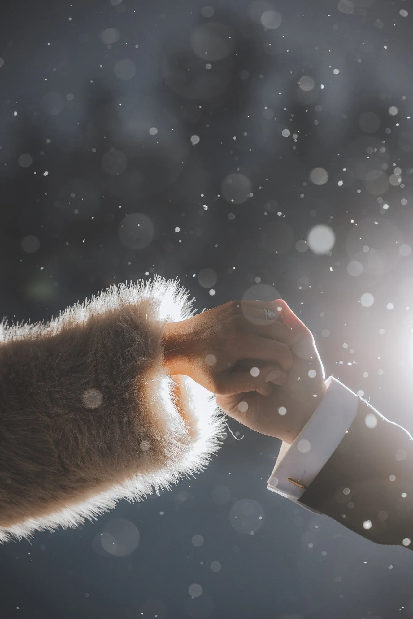 Photo by Tina the Lapland Photographer. A person in a white shirt with a wristwatch touching a dog with white and brown fur. Snow is falling against a dark background.