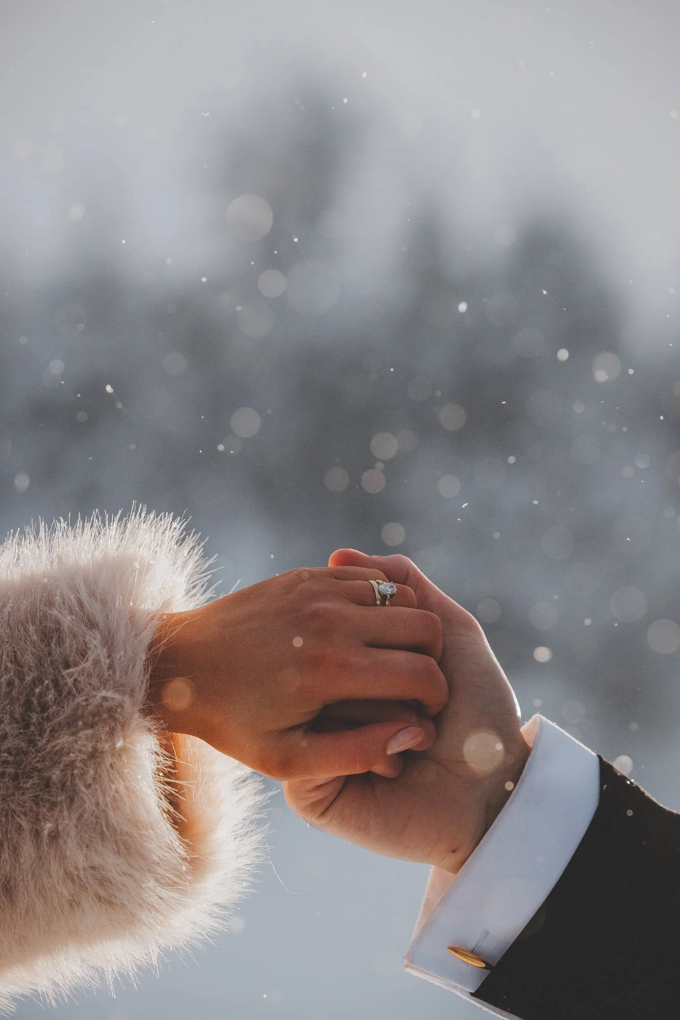 A couple holding hands with wedding rings, with a dog wearing a fluffy coat nearby, against a backdrop of a cloudy sky with falling snow.