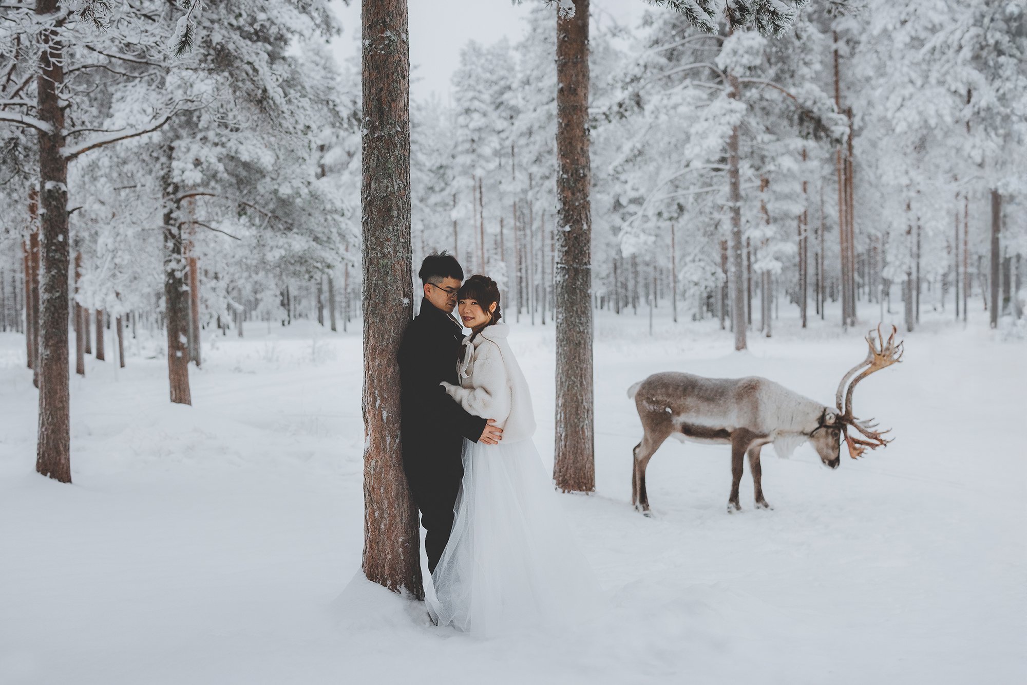 A couple dressed in winter clothing stands close together in a snowy forest, holding hands. There is a reindeer nearby, partially visible, amidst snow-covered trees and ground.