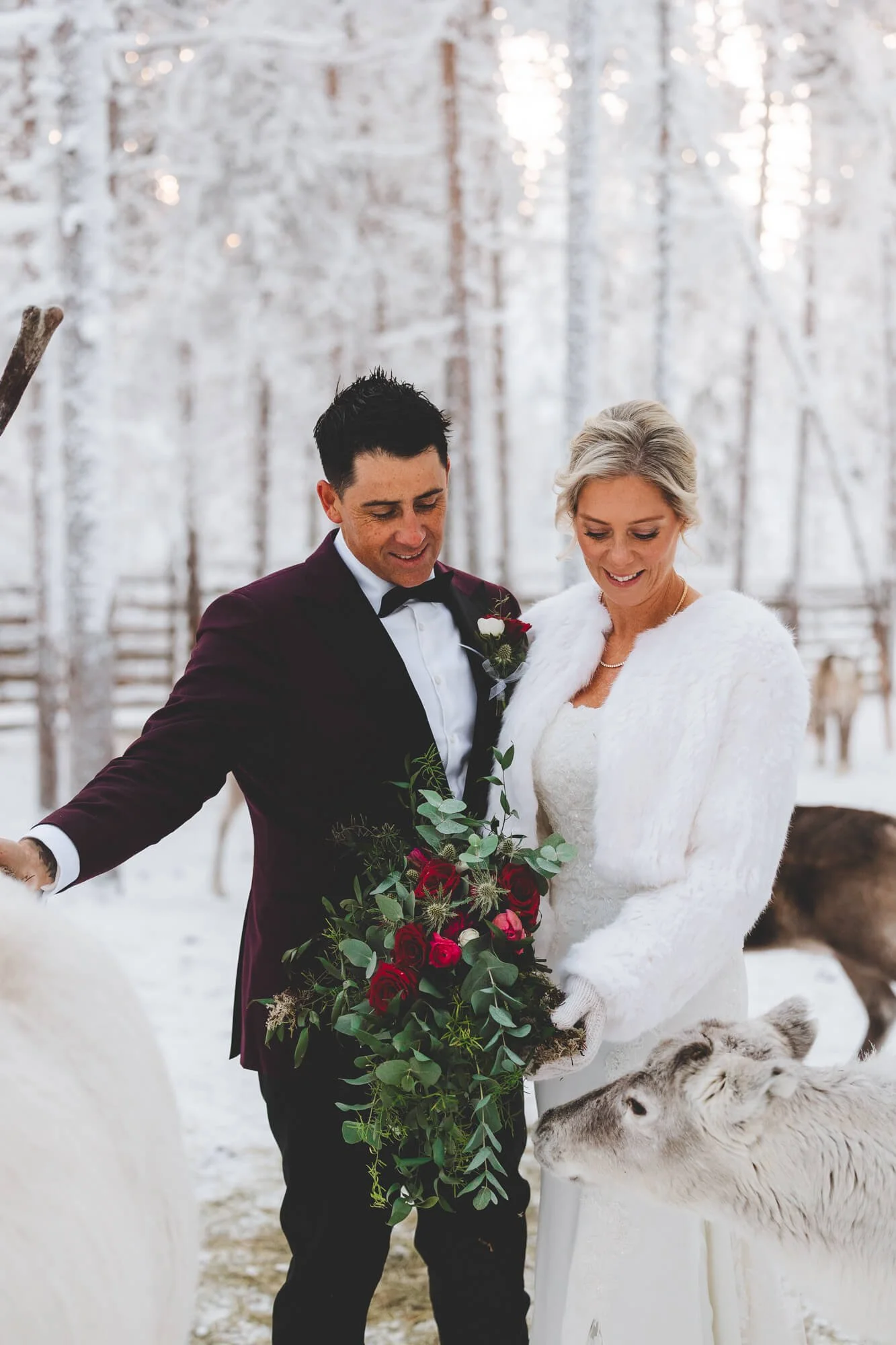 Wedding photographer Rovaniemi and Lapland. Wedding photos with reindeer.