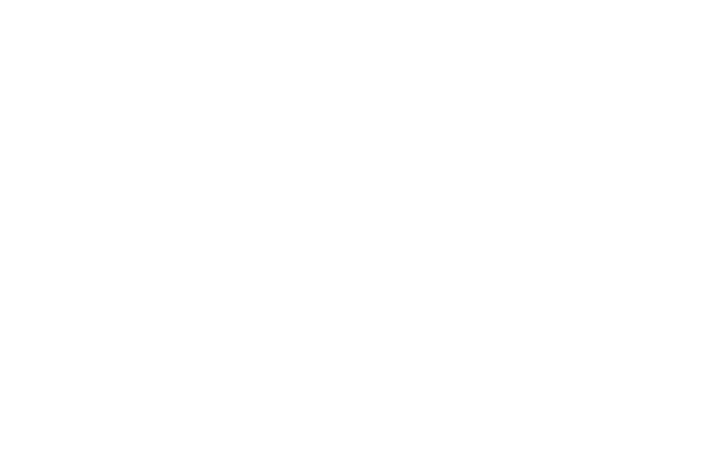 Bridge Generic Logo - White - No Frequency.png