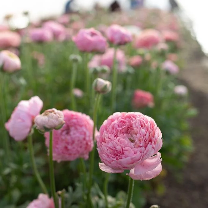 FFA8C602-370B-4D28-937F-BD82D1F5AFF0