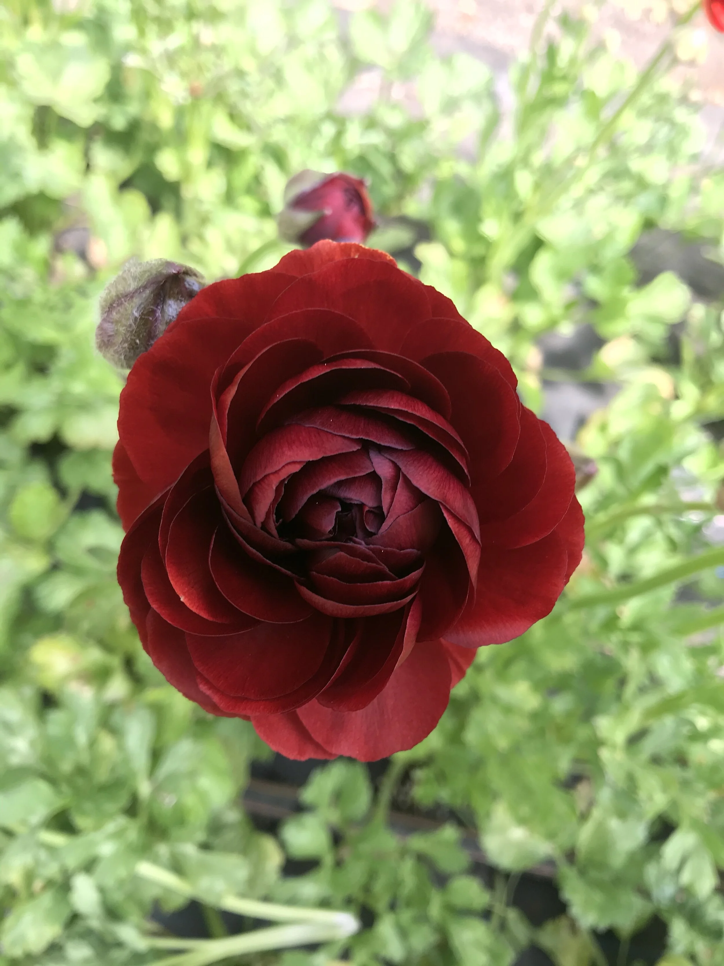 0DD35280-682A-47DB-A086-07C4758D7E4E