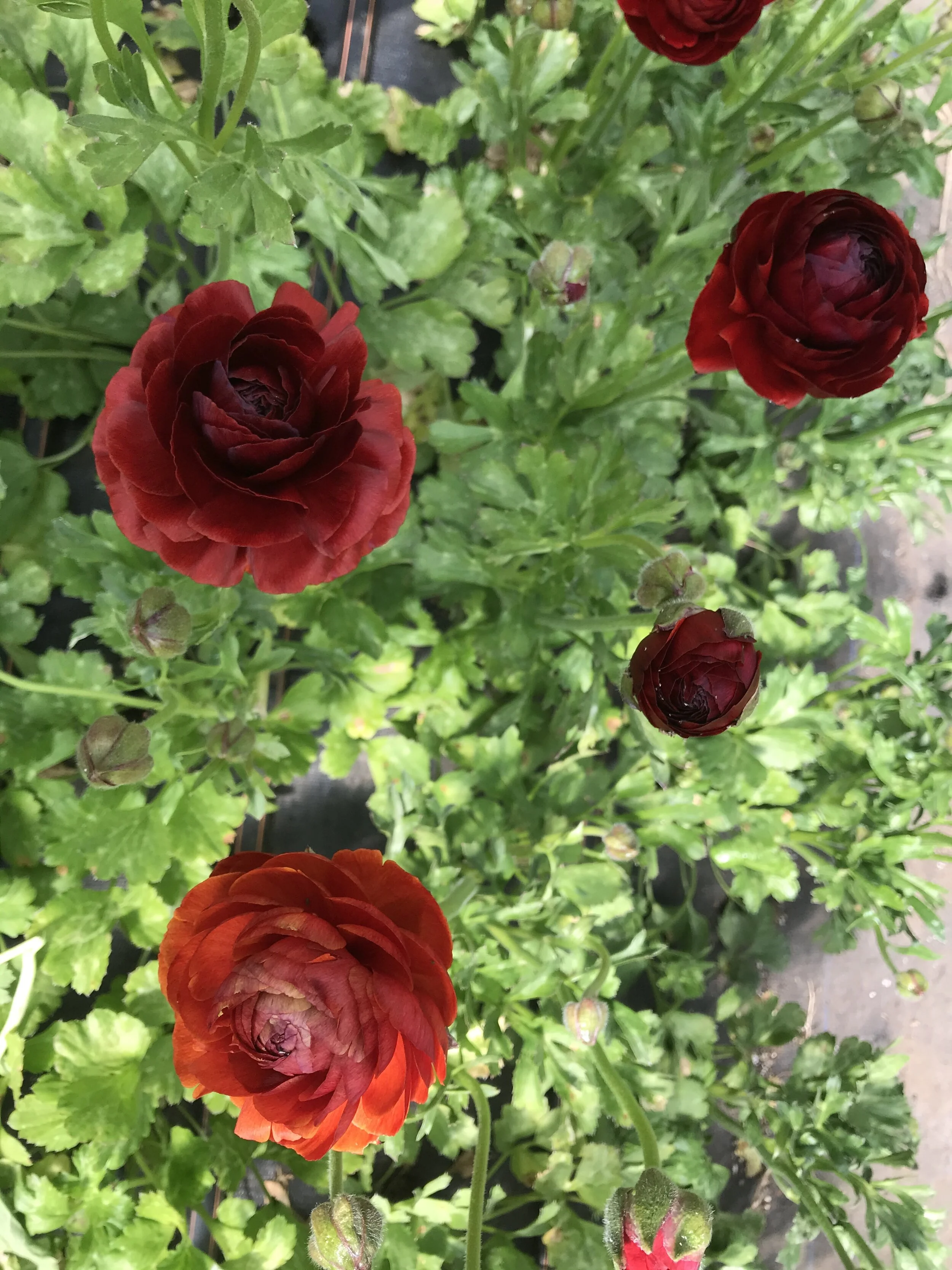 7094CF5A-F291-42E3-A10C-9D9217BF03A3