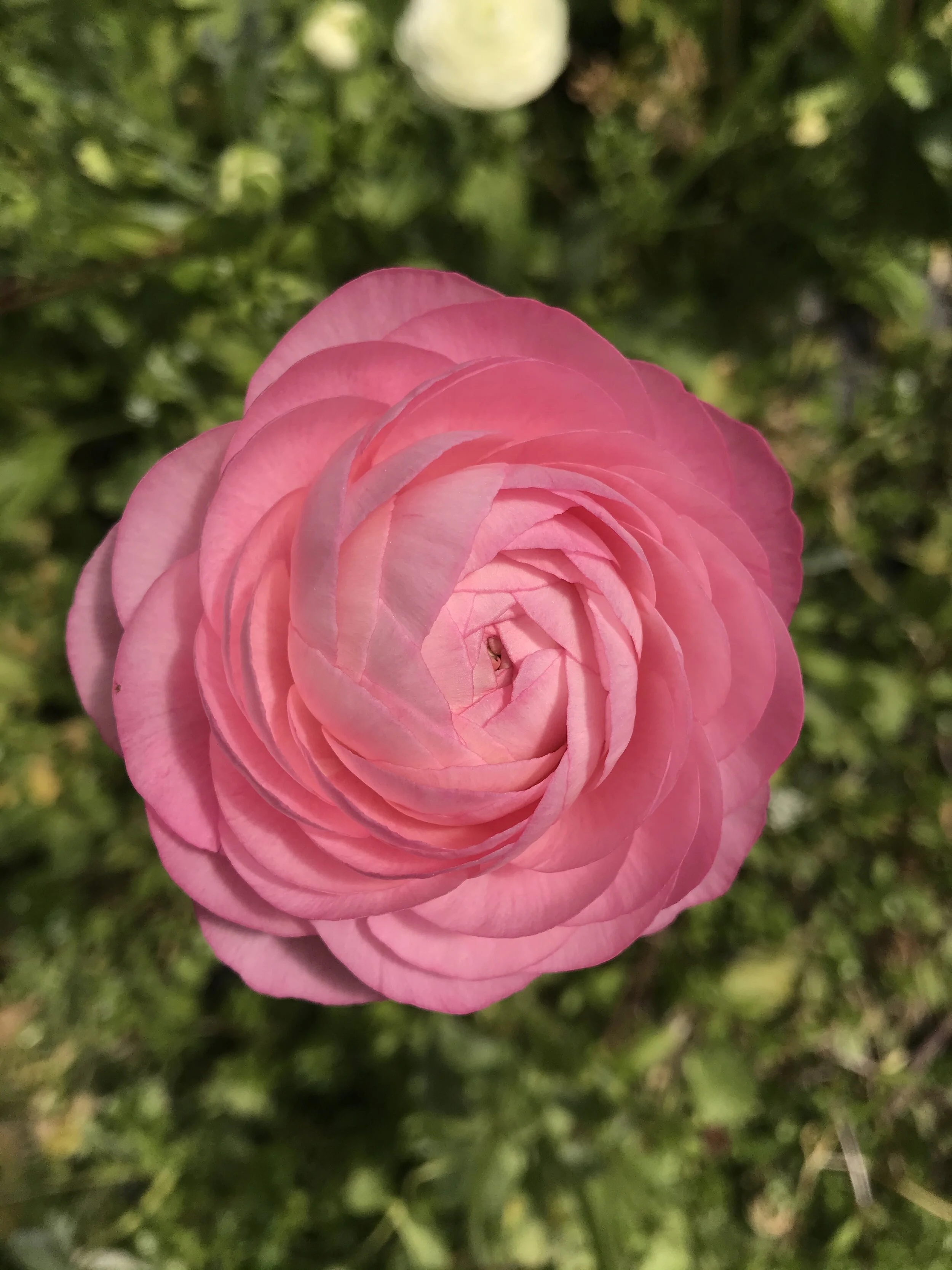 C4AA92A8-4970-411F-9885-991F07A73B9D