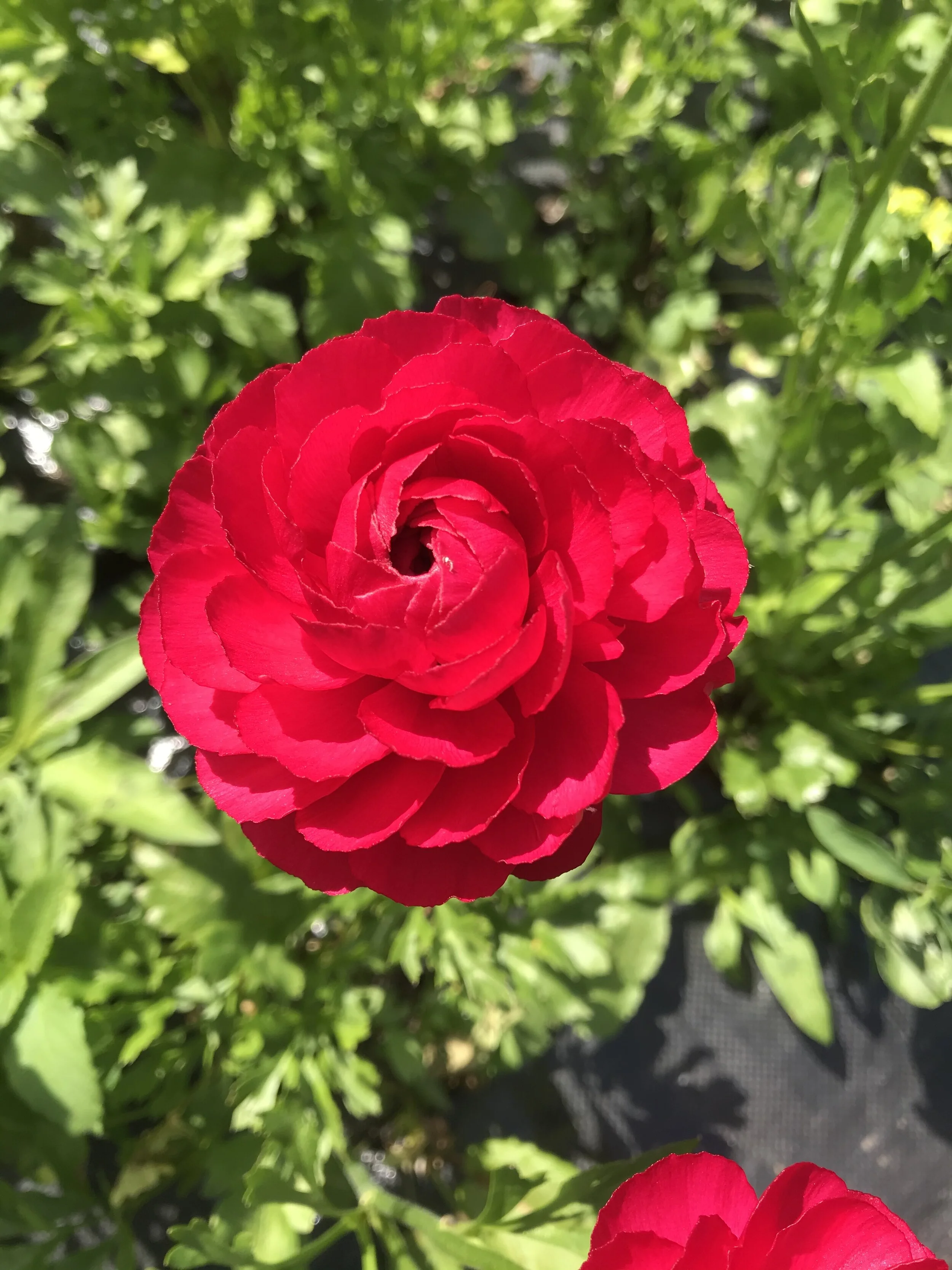 1585B8E8-CD88-4BE5-9D83-AB1CCDDDDE0C