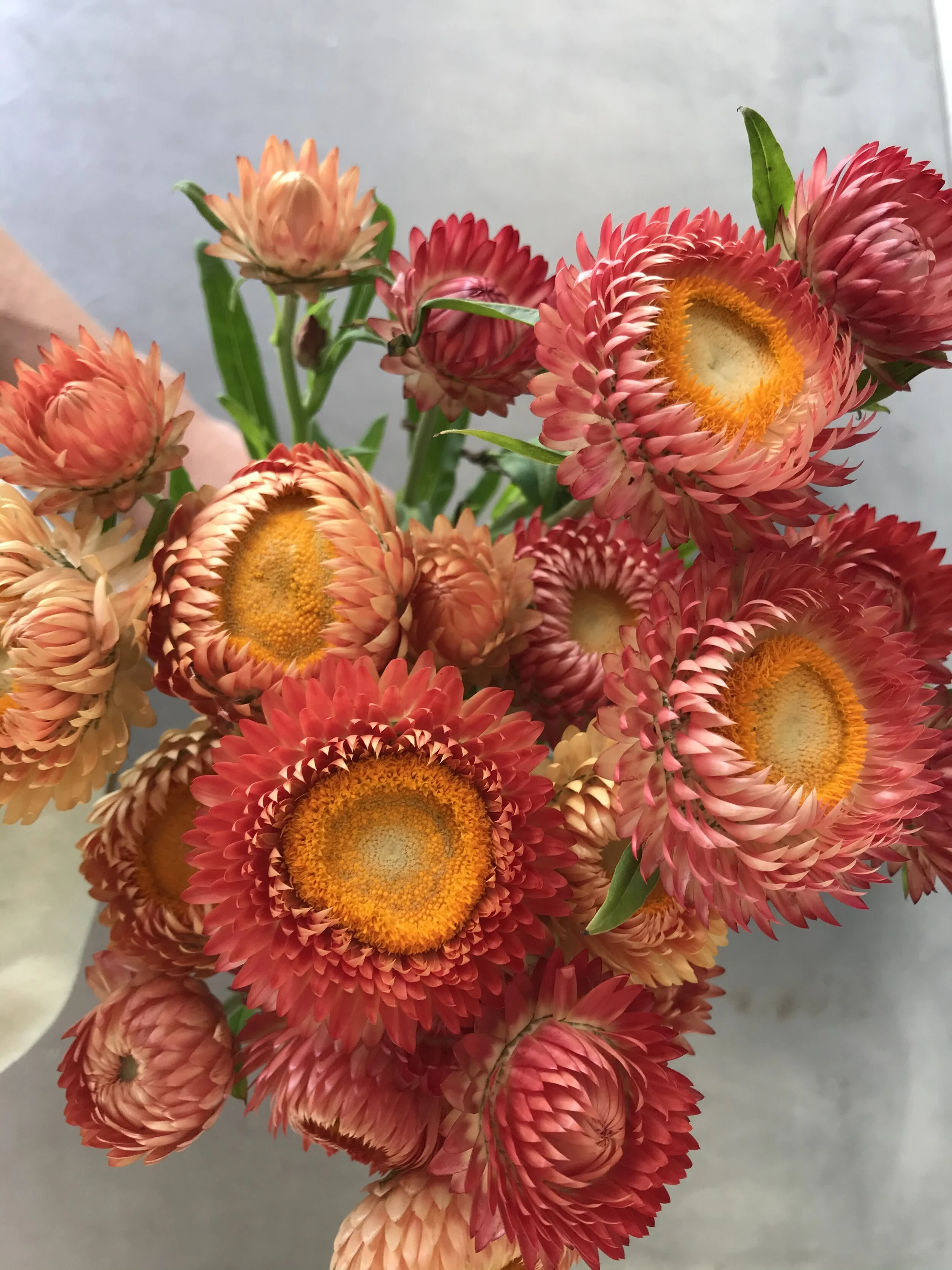 D5CB700C-97CE-487B-889A-93CE205085C1