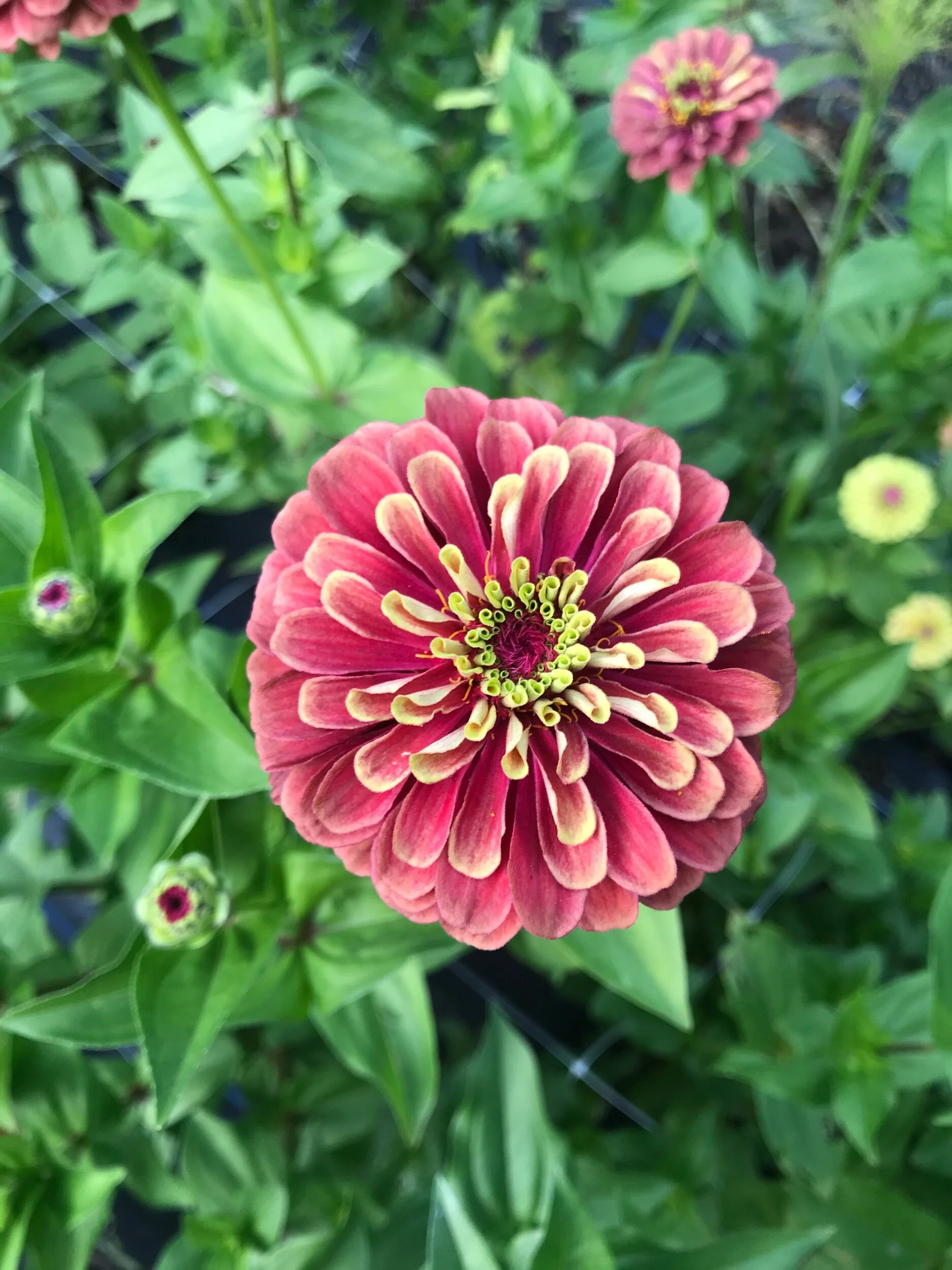 B7700909-EE67-4F02-803E-B7D741F5A376