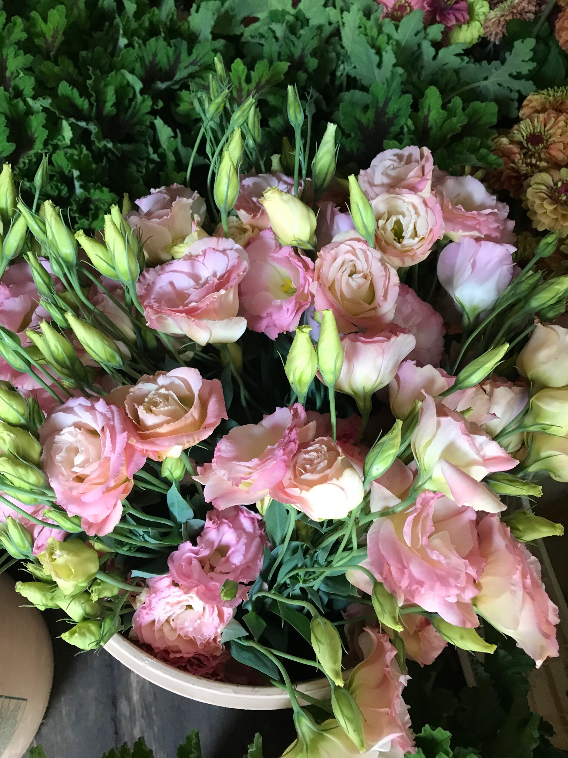 05009F0E-1EA6-46AE-B04D-6BBC188947DB