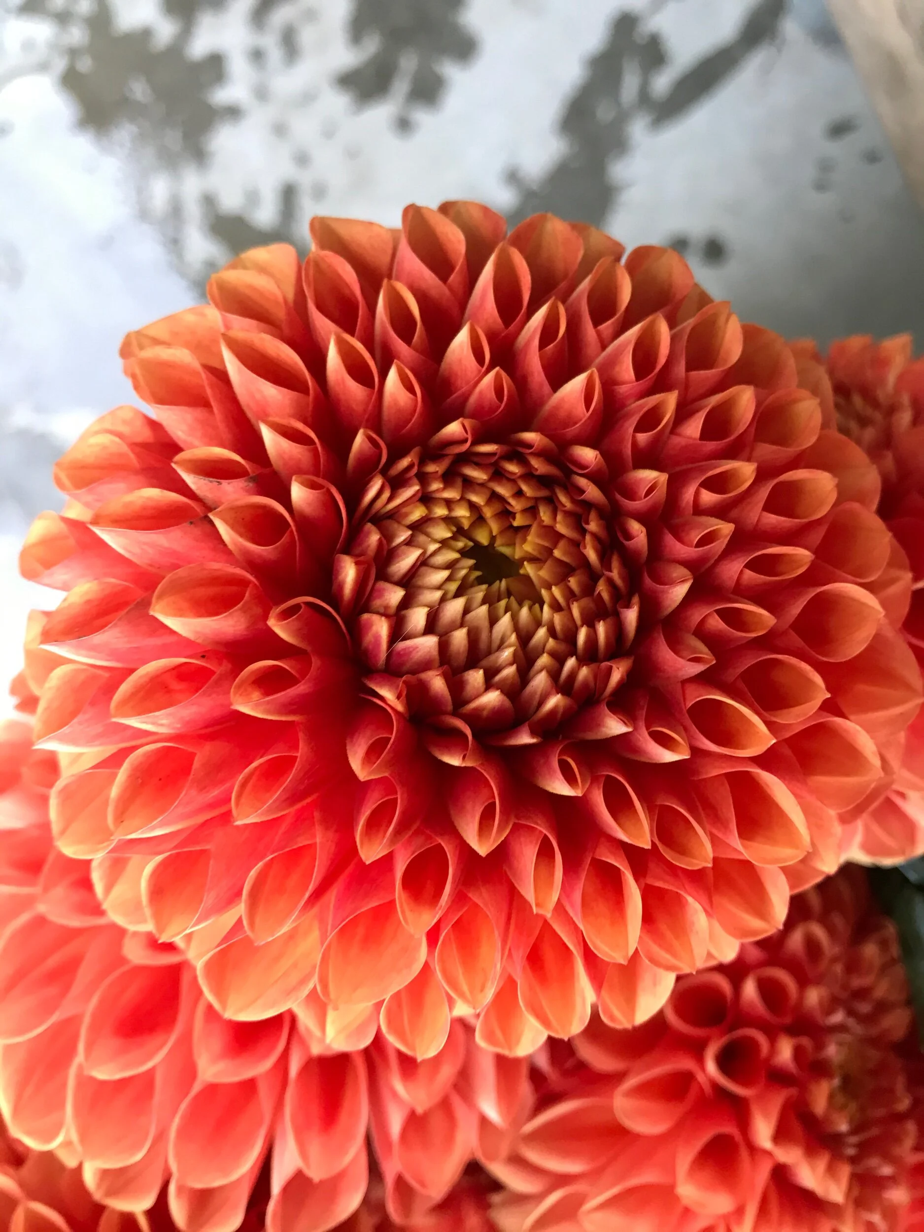 890A8ED4-9416-45D9-ACF5-2B9CA0186690