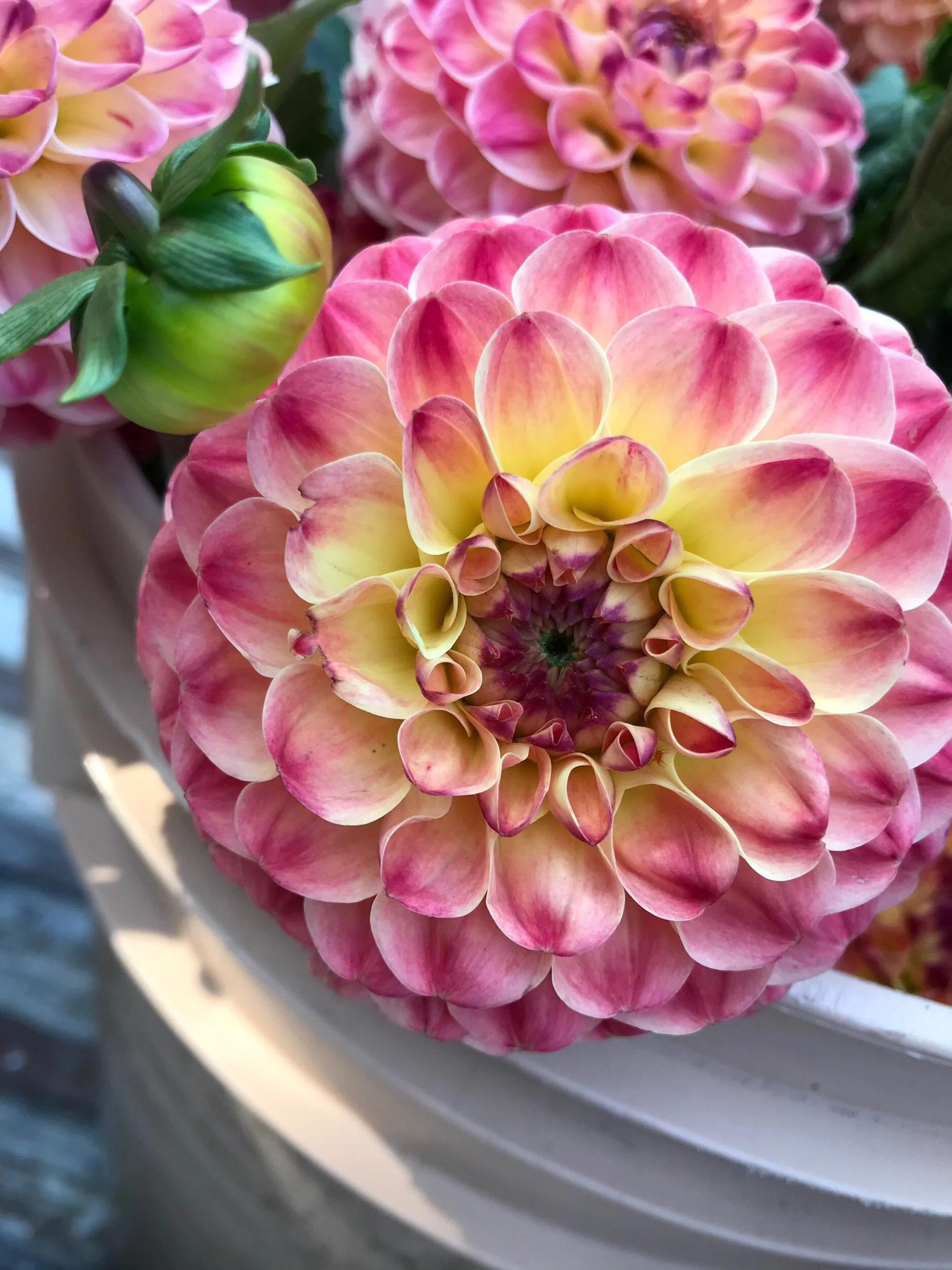 5C1B16D7-BBAB-4BB3-AE34-022067FDE338