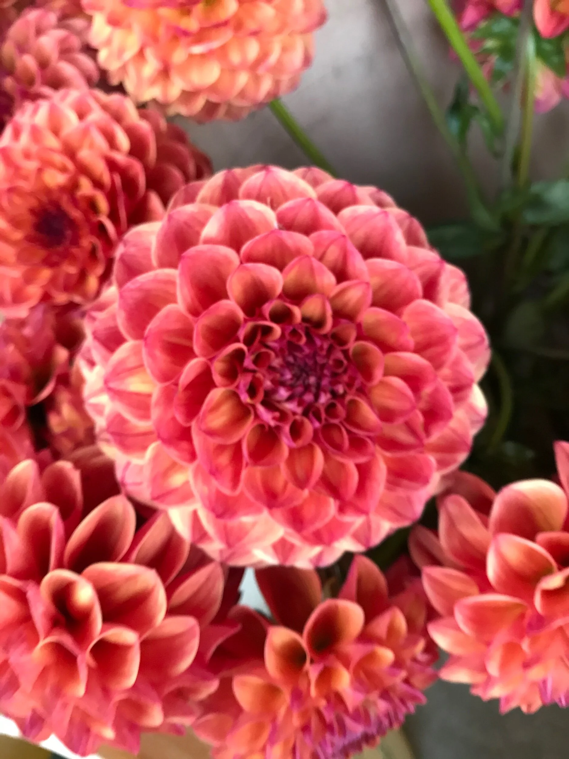 ECF5EFC6-74DE-46FF-8798-107F96D2A72C