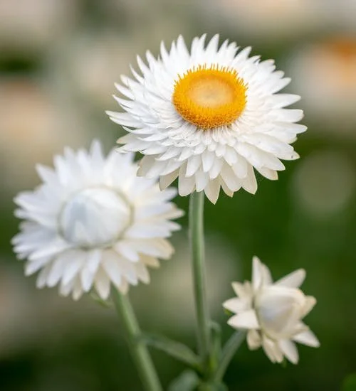 78E90965-8ECA-417F-BAE7-AEA214B87C38