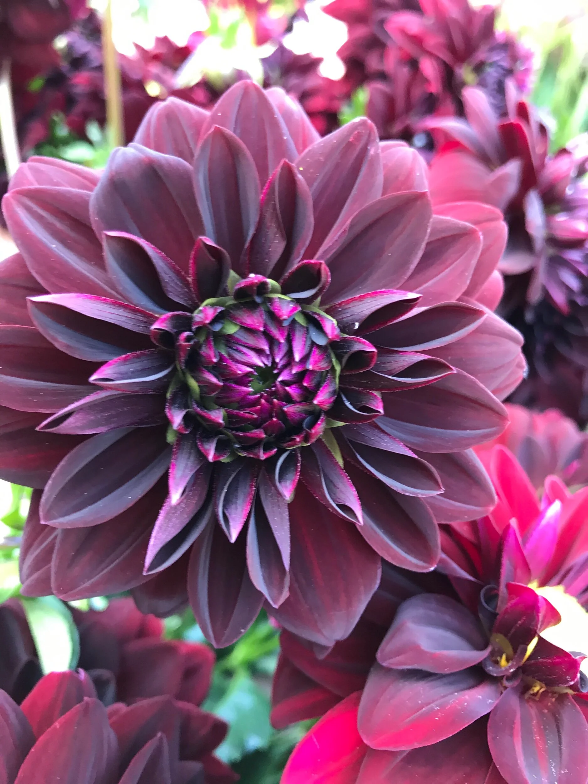 B21AD64B-6742-4D3E-855F-5A5F2234D953