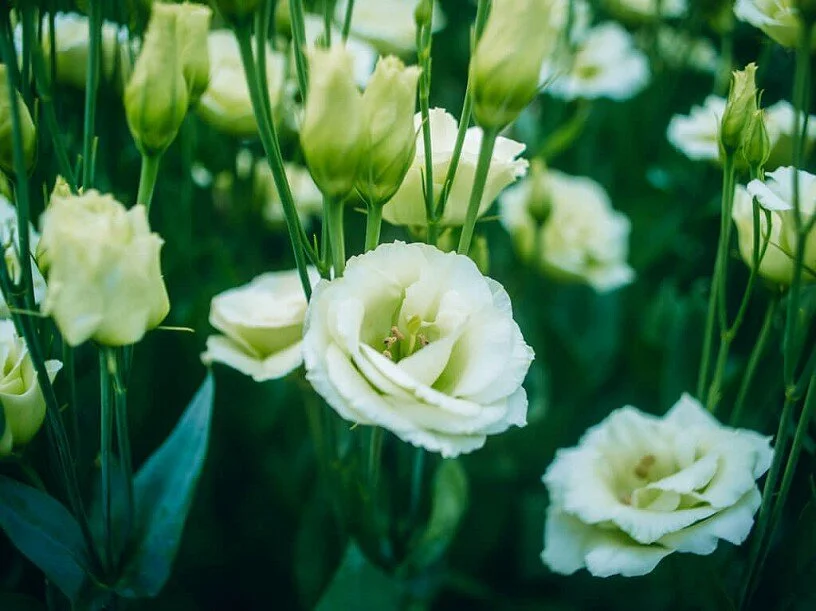 8304DC6E-2451-480B-821C-9BEBF54C1BB5