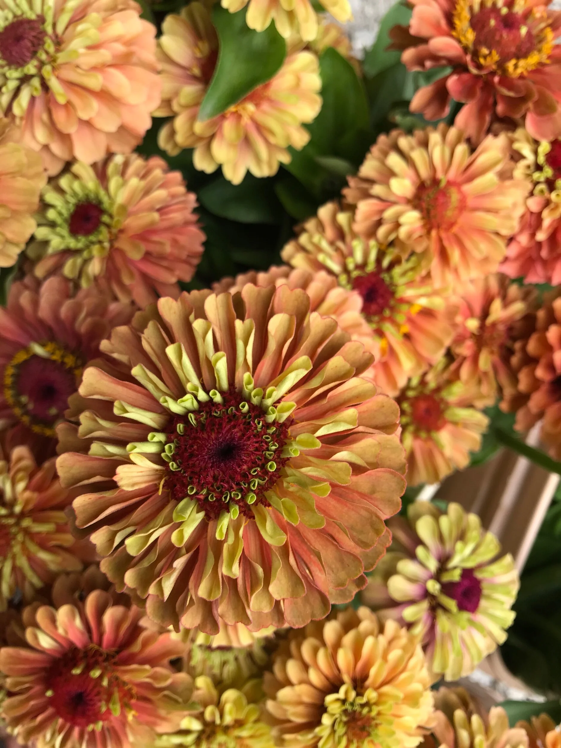 A67F54F3-56F3-4D0A-9709-ECE992099BA4