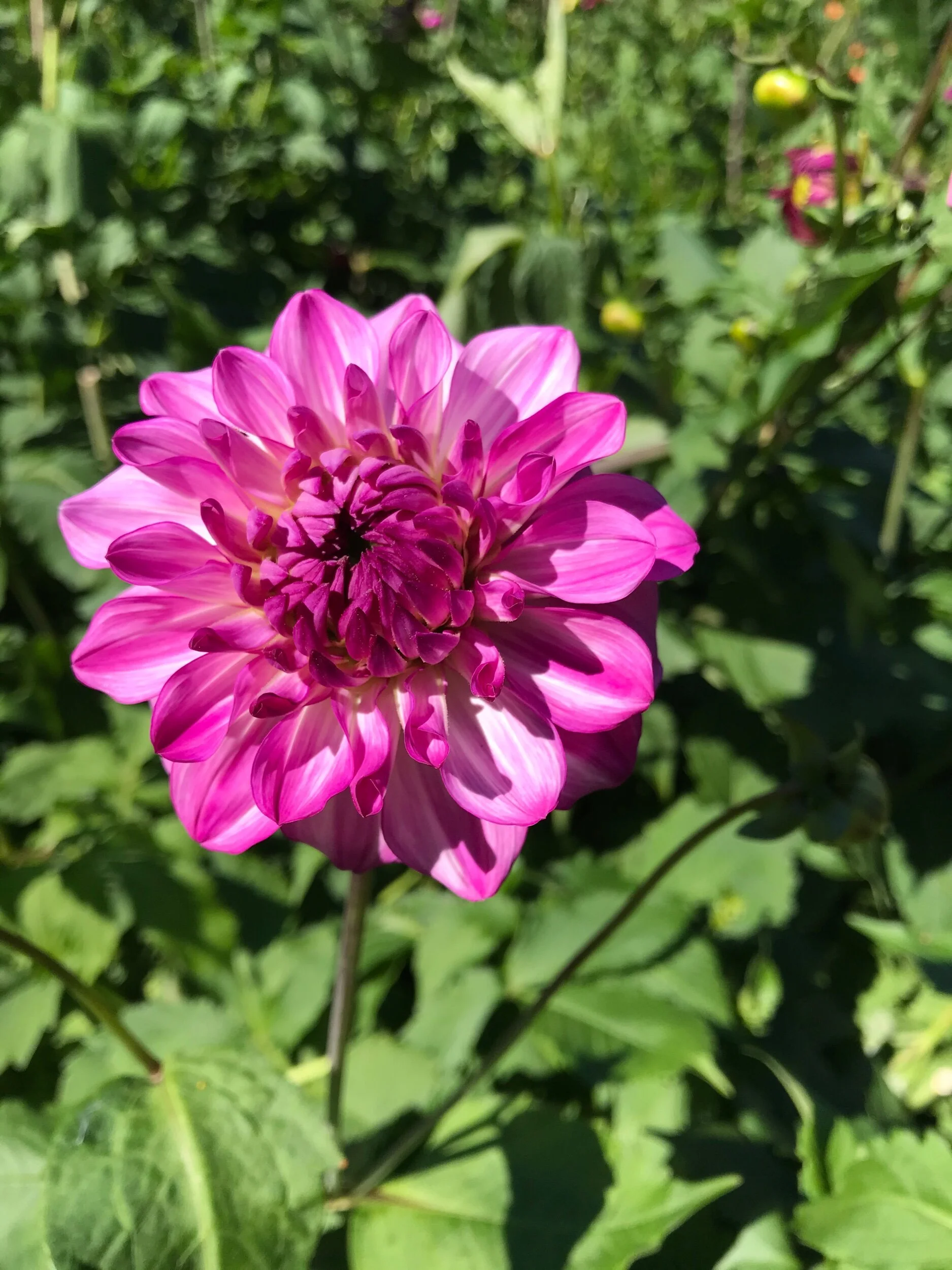 F0DD47AB-6DC8-4188-879F-E8B848359FAF