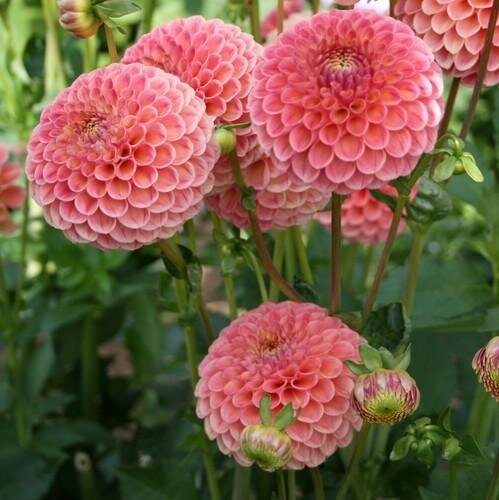 AB997A68-D601-4882-BFE4-FE7AC8F06A06