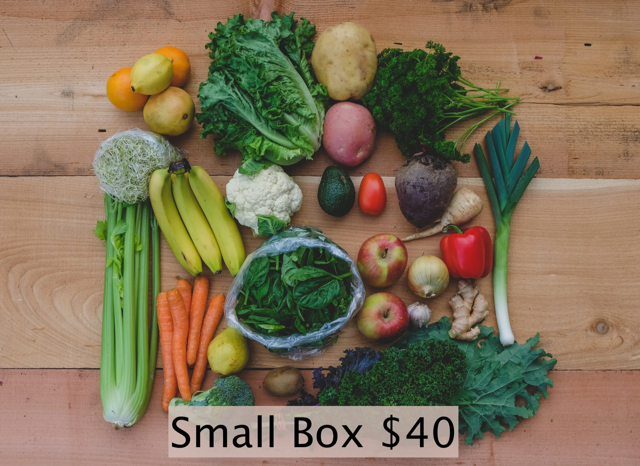 Small Box Overhead with text.jpeg