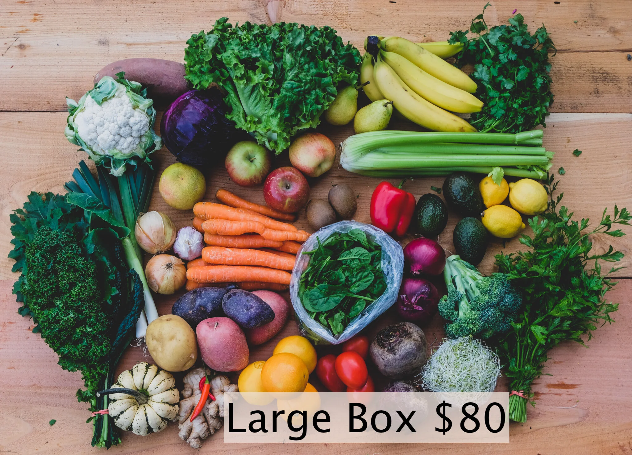 Large Box Overhead with text.jpeg