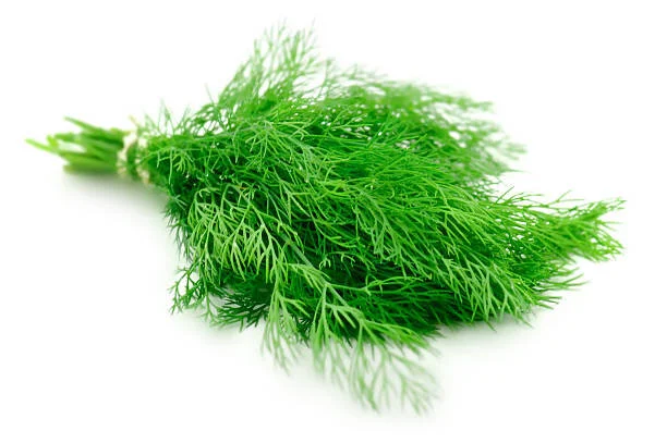 6E81FA10-C607-4DB4-9FBD-7F1C54723BE6