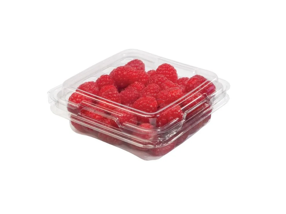Raspberry Clamshell.jpg
