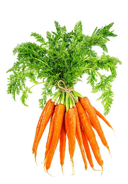 Carrot Bunch.jpg