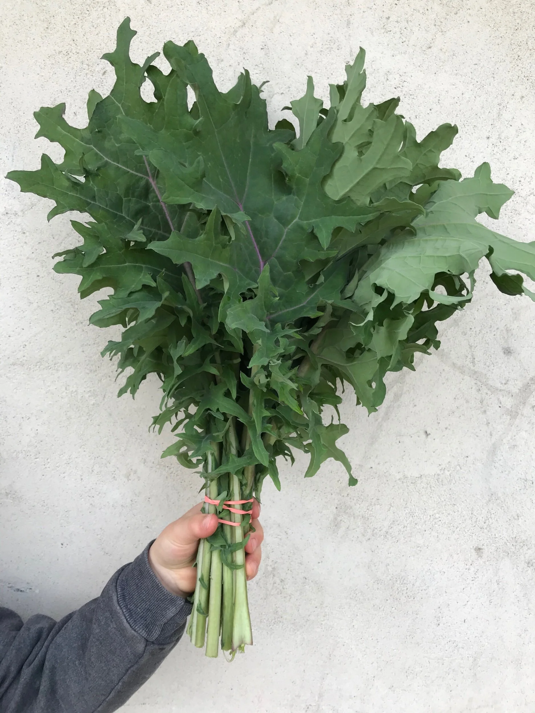 9C0280B6-FA0F-4EC4-B658-548EE3CDEDA0