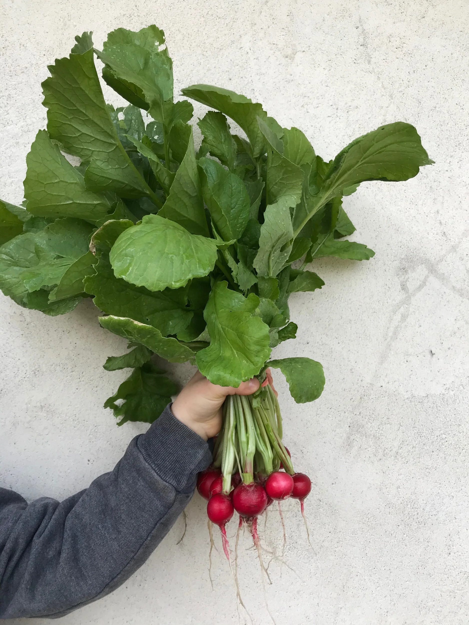 A33FAC70-EE49-43ED-BB62-C0D87F9FB5F2