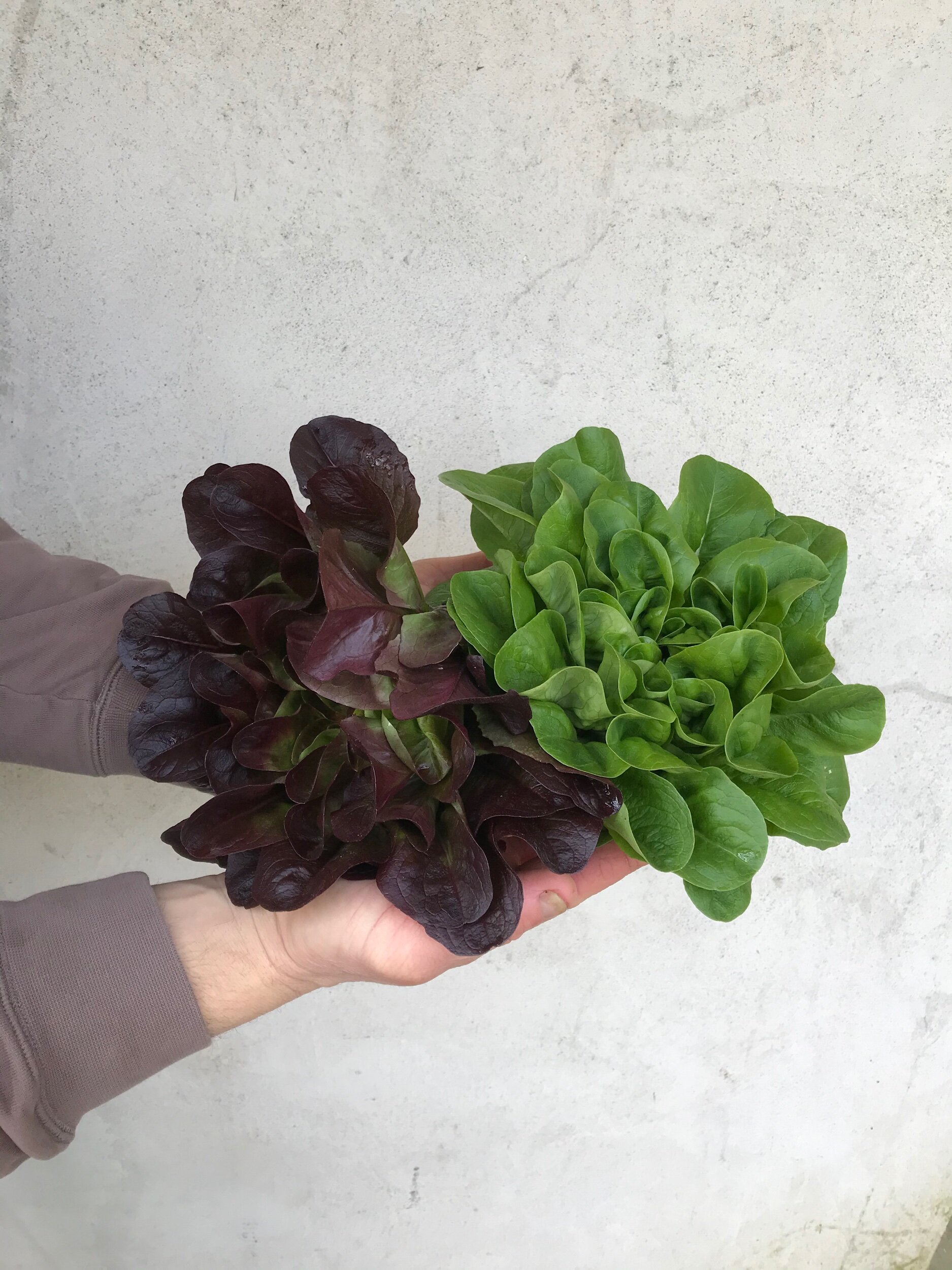 23270E30-86F1-4045-AF68-15FDA248584F