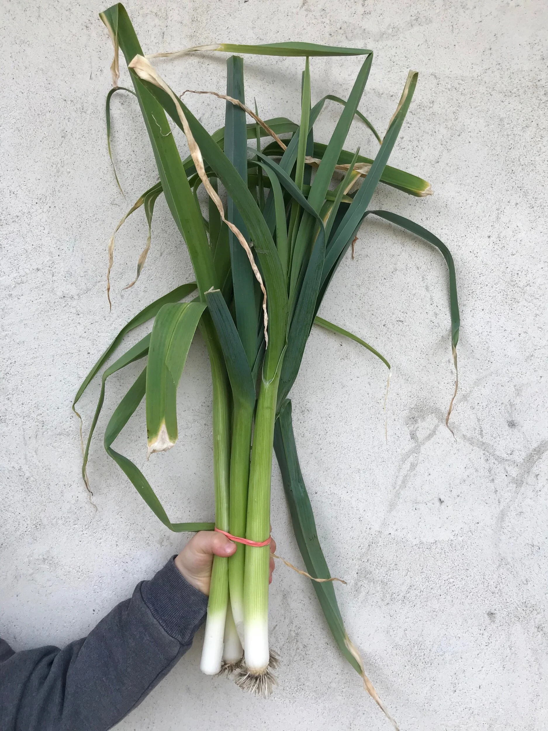 4803780A-8D93-459C-8D4D-5596A24C63B3