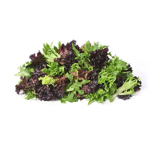 Salad Mix Stock Photo.jpeg