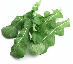 Arugula.jpeg