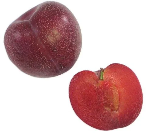 pluot.jpeg