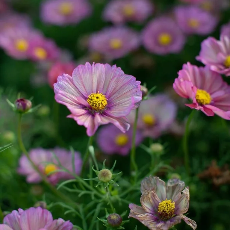 82A6F8D6-B7E6-42E1-9685-ECB0253E4096